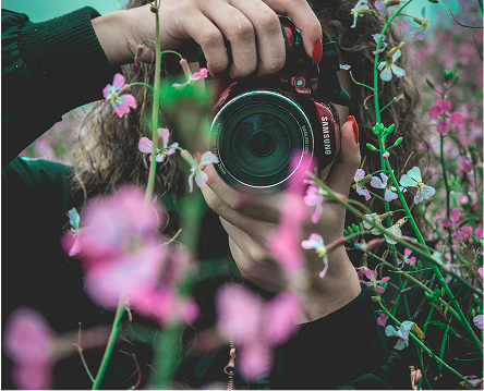 Photography 3